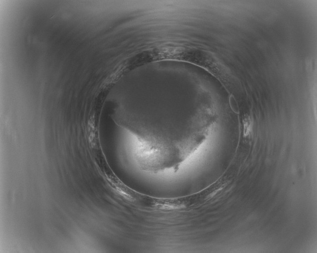 X0000065981011200603031149