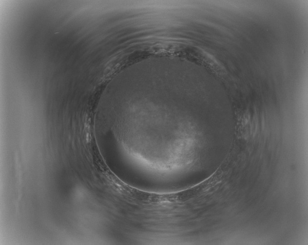 X0000065981013200603031149