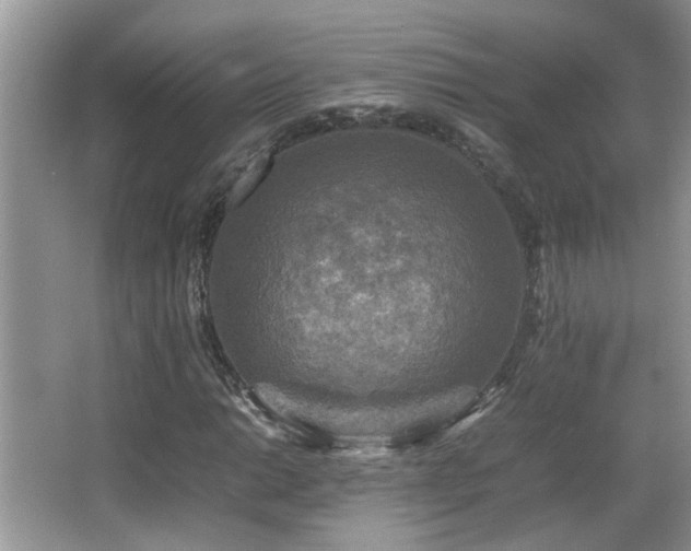 X0000065981014200603031149