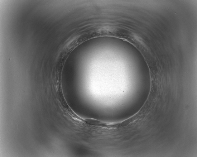 X0000065981015200603031149