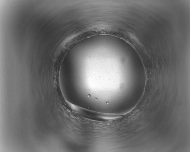 X0000065981016200603031149