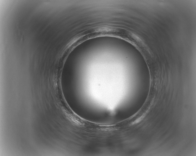 X0000065981017200603031149