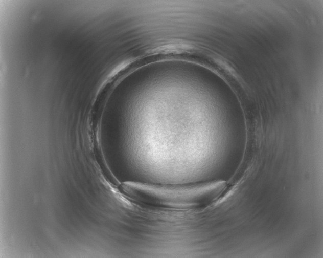 X0000065981018200603031149