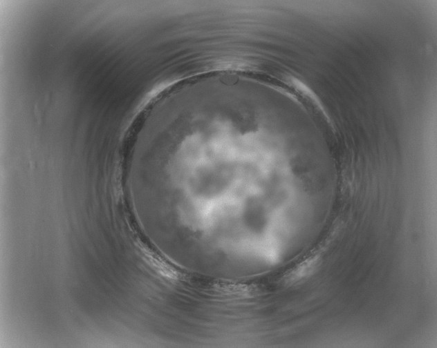 X0000065981019200603031149