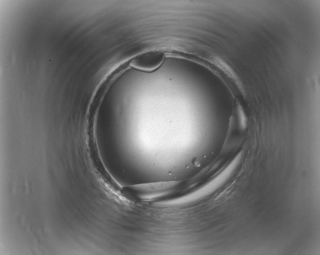 X0000065981020200603031149