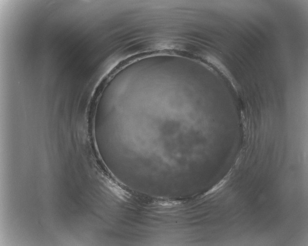 X0000065981023200603031149