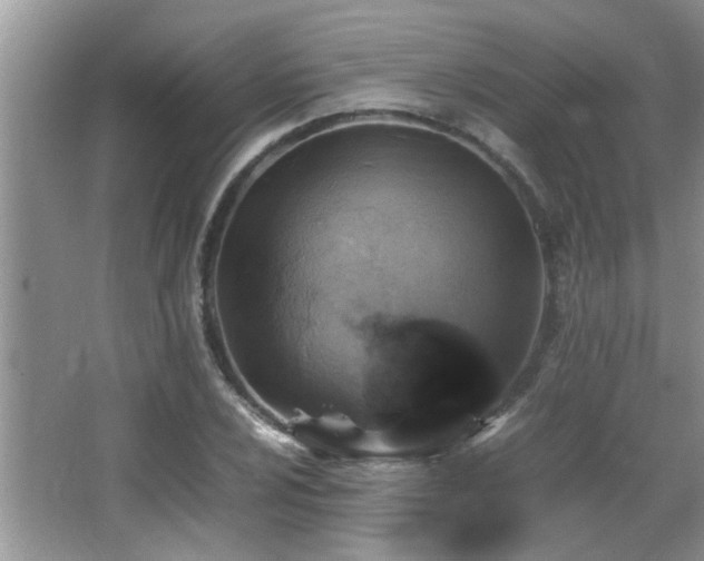 X0000065981024200603031149