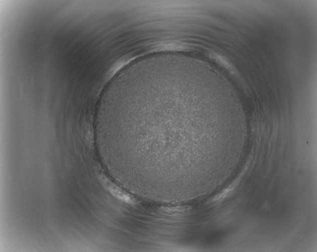 X0000065981025200603031149