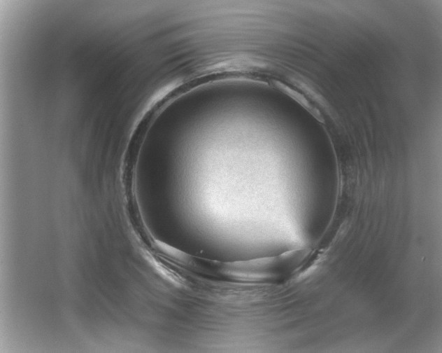 X0000065981026200603031149