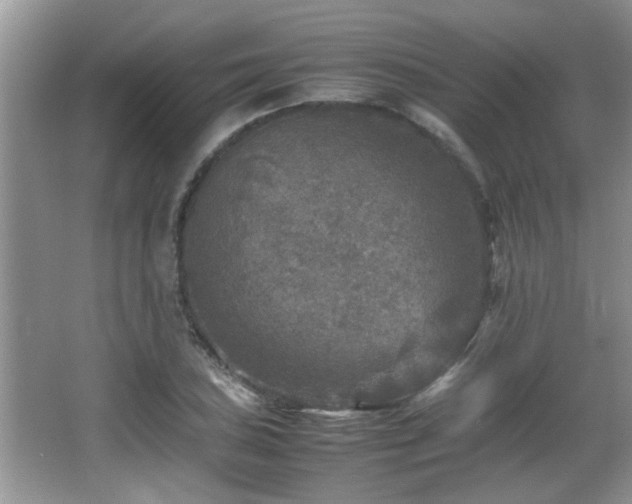 X0000065981027200603031149