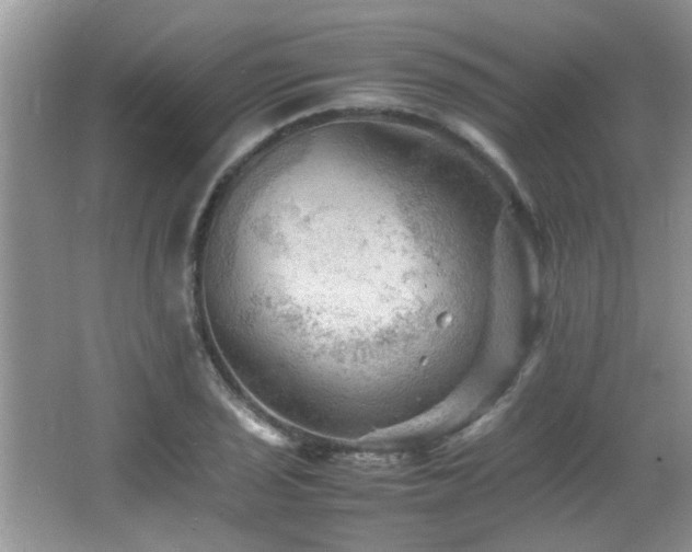 X0000065981029200603031149