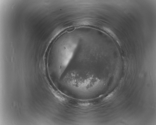 X0000065981031200603031149