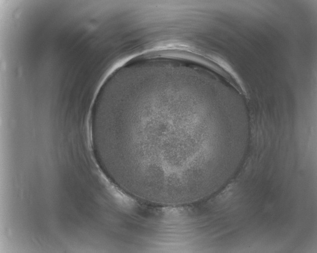 X0000065981032200603031149