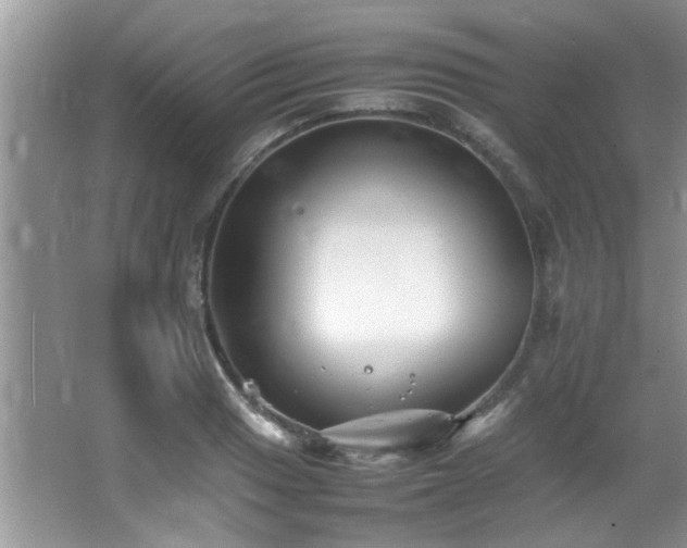 X0000065981033200603031149