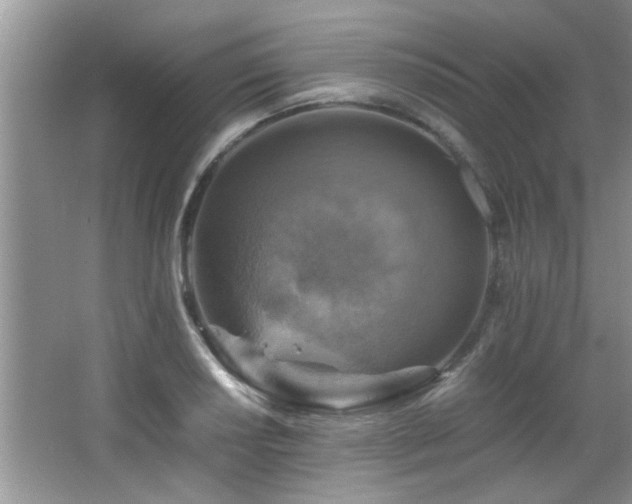 X0000065981034200603031149