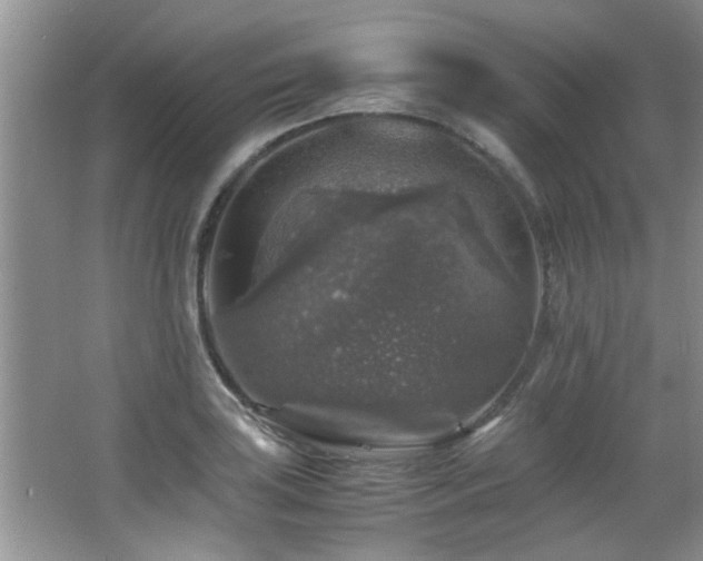 X0000065981035200603031149