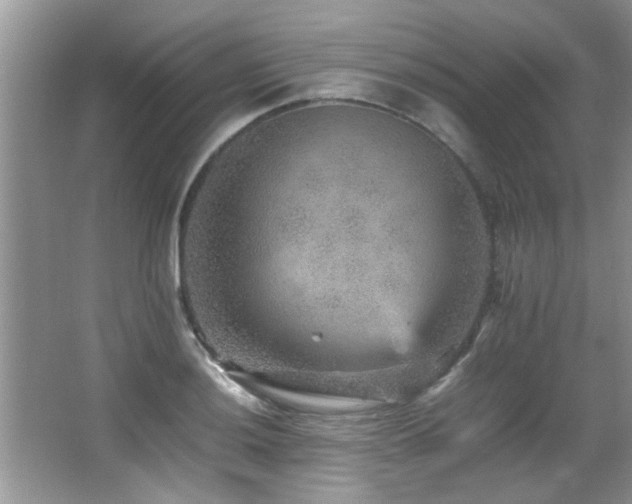 X0000065981036200603031149