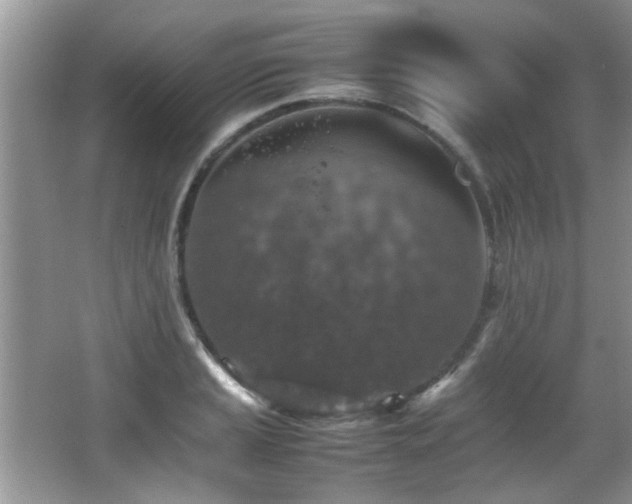 X0000065981037200603031149