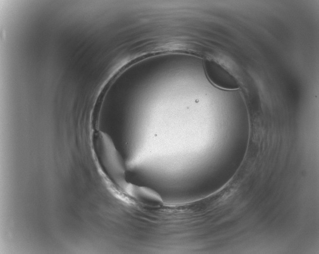 X0000065981039200603031149