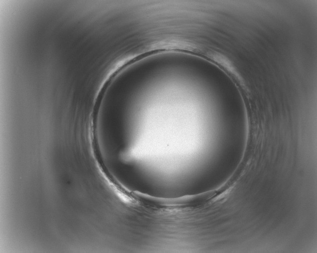 X0000065981040200603031149