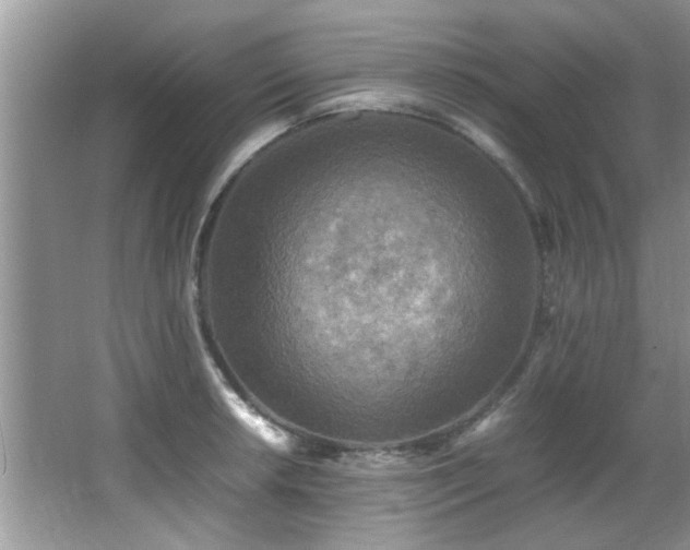 X0000065981042200603031149