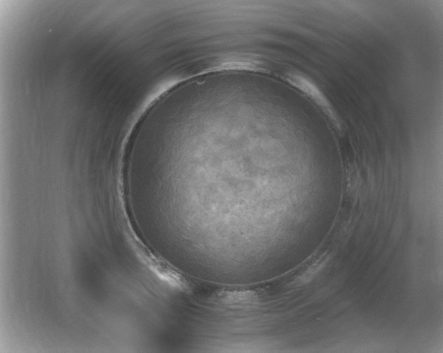 X0000065981043200603031149