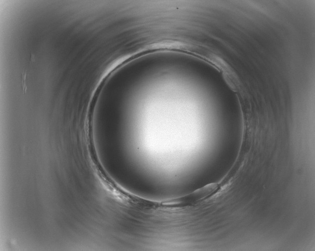 X0000065981044200603031149