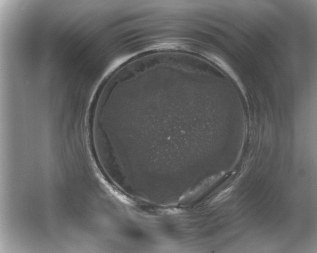 X0000065981045200603031149