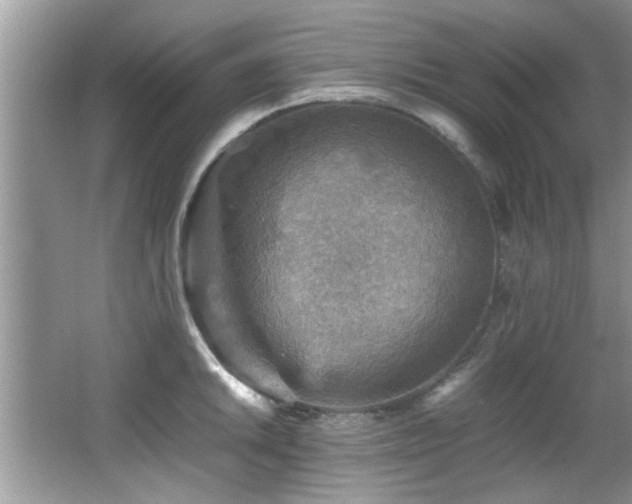 X0000065981046200603031149