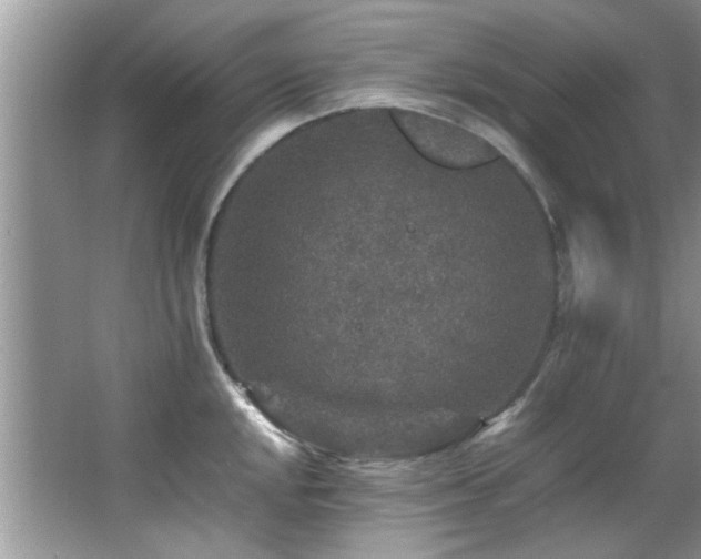 X0000065981048200603031149