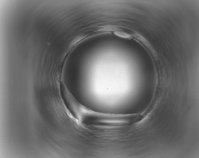 X0000065981049200603031149