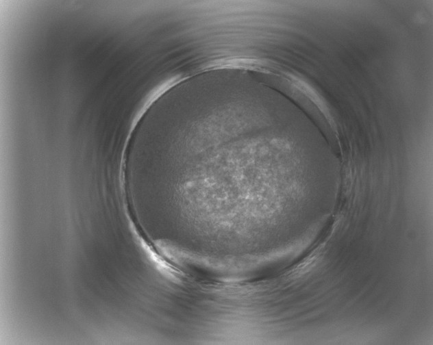 X0000065981050200603031149