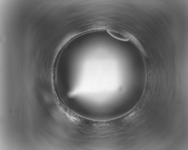 X0000065981051200603031149