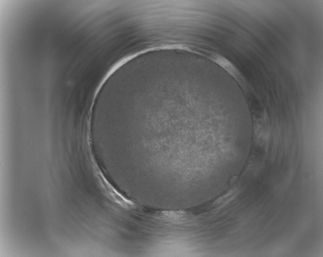 X0000065981052200603031149