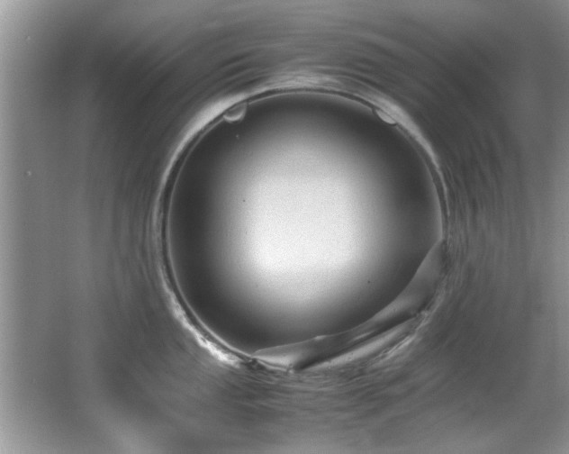 X0000065981053200603031149