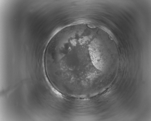 X0000065981055200603031150