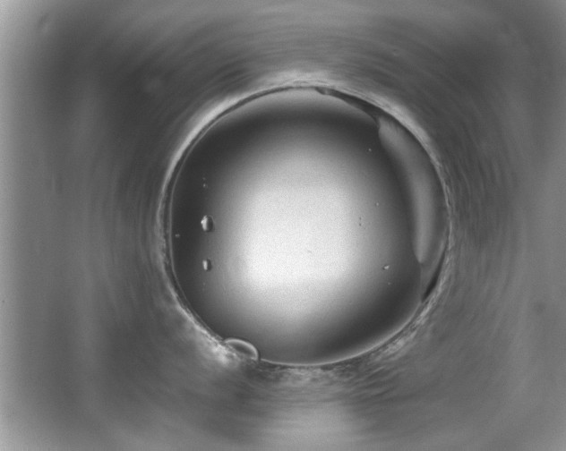 X0000065981056200603031150