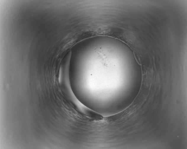 X0000065981058200603031149