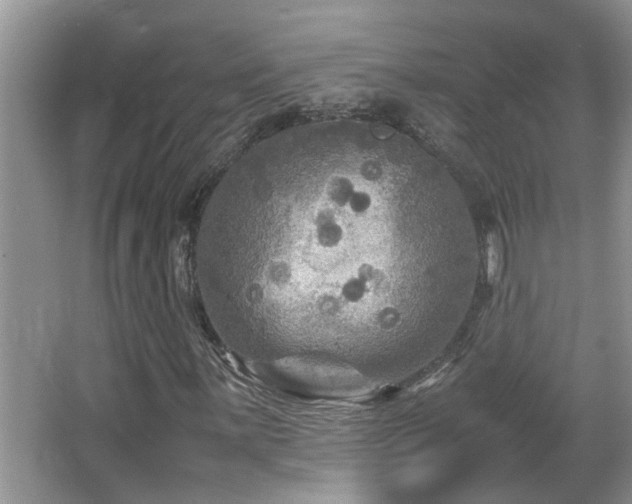 X0000065981059200603031149