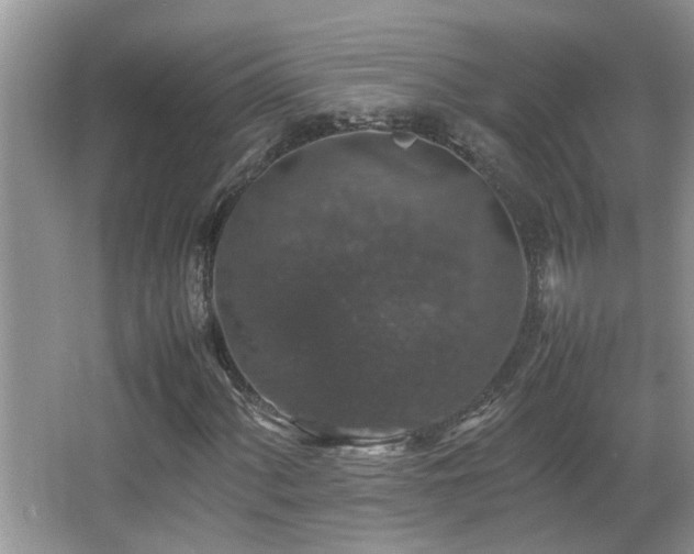 X0000065981060200603031149