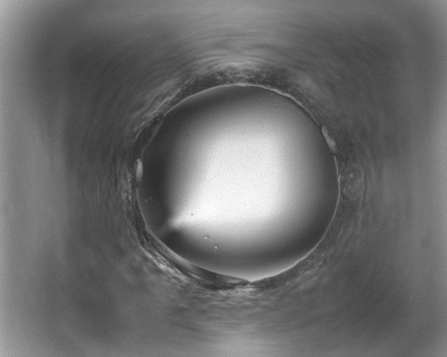 X0000065981061200603031149