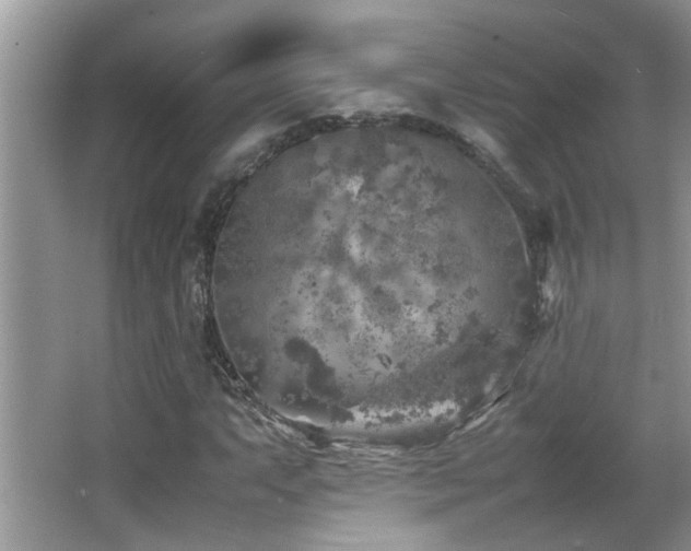 X0000065981063200603031149