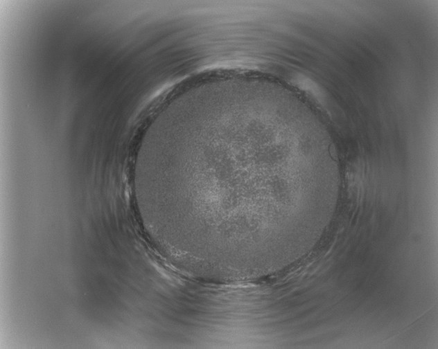 X0000065981064200603031149