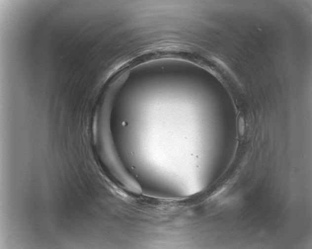 X0000065981065200603031149