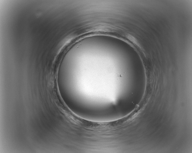 X0000065981067200603031149