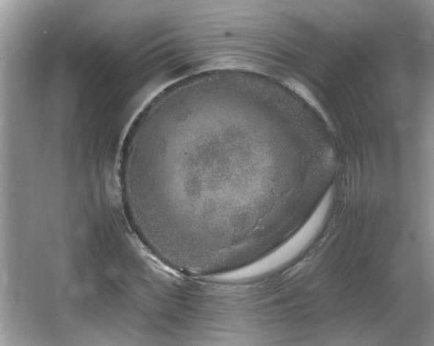 X0000065981068200603031149