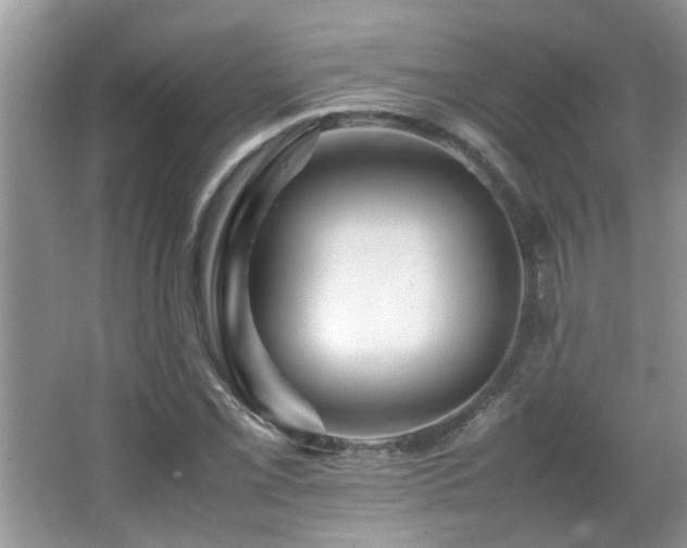 X0000065981069200603031149