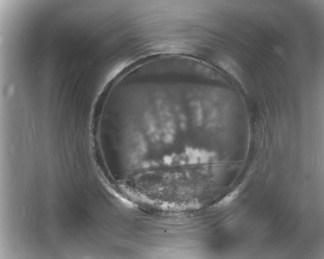 X0000065981071200603031148