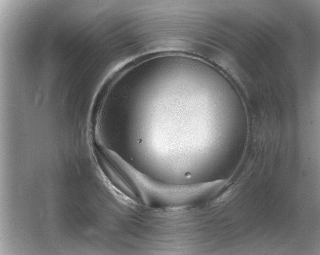 X0000065981072200603031148