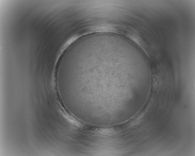 X0000065981074200603031148